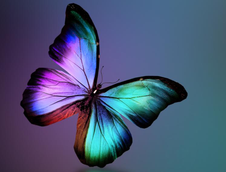 En toen was er kleur